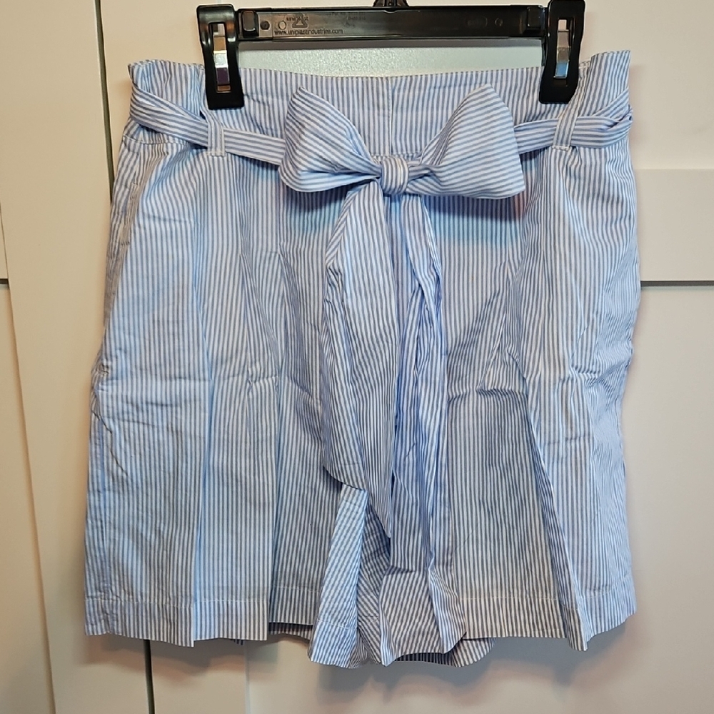 Crown & Ivy Light Blue Striped Shorts